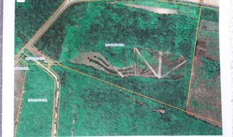2650 Joe Miley Rd, Brunson, SC 29911
