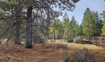 6232 Bufflehead Dr, Bonanza, OR 97623