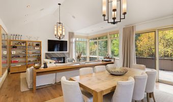 509 W Hopkins Ave, Aspen, CO 81611