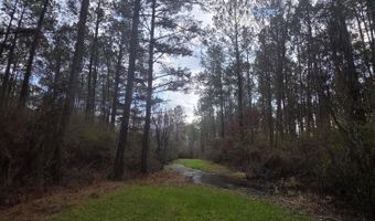 U.S. Highway 51, Bogue Chitto, MS 39629