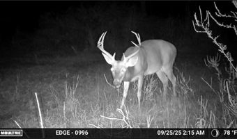 Hwy 9, Bruce, MS 38915