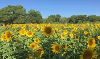 888 Las Palomas Canyon Rd, Caballo, NM 87942