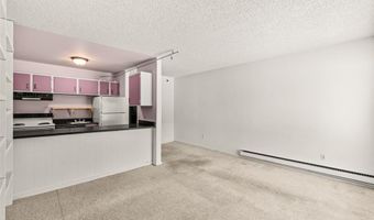 110 S Park Ave 106, Breckenridge, CO 80424