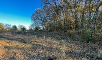 8667 Hardwood Rd, Atoka, OK 74525