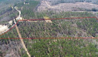 Adams Road - 1 & 2, Bankston, AL 35542