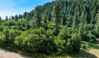 554 Pine Spring Dr, Bayfield, CO 81122