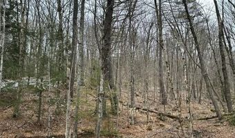 10-3 18 Myrtle St, Campton, NH 03223