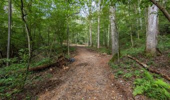 23 59 Ac Chestnut Flats Rd, Andrews, NC 28901
