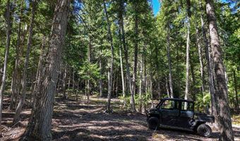 Swan Shores Lane, Bigfork, MT 59911