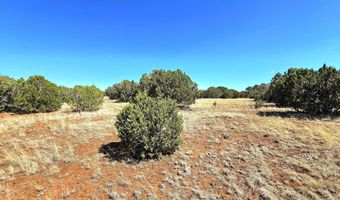 20 CO Rd, Concho, AZ 85924