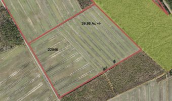 Sr 1918 Road, Aurora, NC 27806