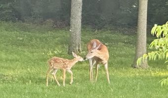 5043 N Adrian Hwy, Adrian, MI 49221
