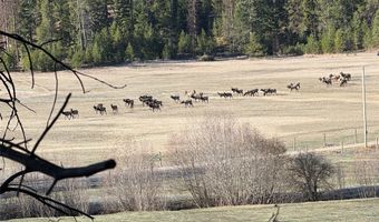 31850 Yearling Run, Alberton, MT 59820