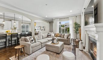404 W Olive St, Arlington Heights, IL 60004
