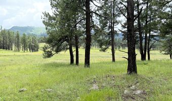 1 A FOREST ROAD 26, Alpine, AZ 85920