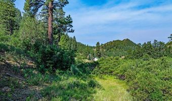 554 Pine Spring Dr, Bayfield, CO 81122