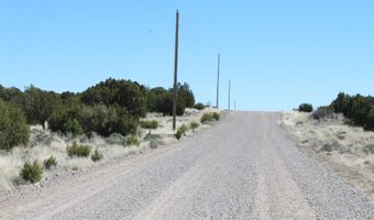 80 County Road 8620, Concho, AZ 85924