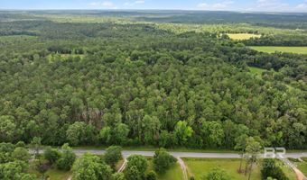 0 Hurricane Rd, Bay Minette, AL 36507