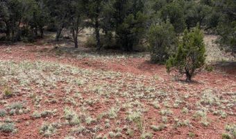 390 N Juniper Ranch Rd 108, Ash Fork, AZ 86320