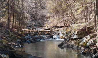 12970 State Route 56, Altamont, TN 37301