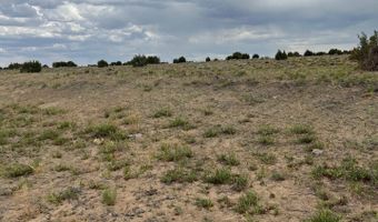 8206 TBD N8206, Concho, AZ 85924