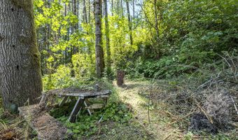 North Shore DR, Birkenfeld, OR 97016