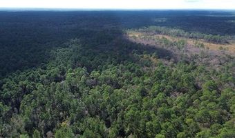 74231 JACK LLOYD Rd Lot 0, Abita Springs, LA 70420