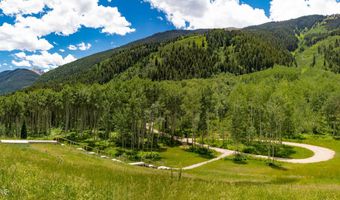 640 S Hayden Rd, Aspen, CO 81611
