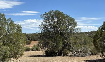21 Off Of Cooks Trl, Ash Fork, AZ 86320