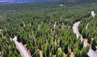 7783 California Pines Blvd, Alturas, CA 96101