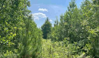 26 Acres Hilltop Kelso, Crystal Falls, MI 49920