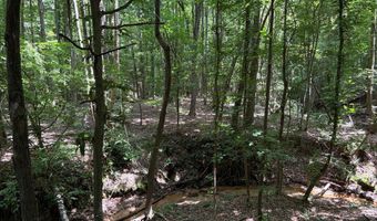 Beauty Hill Rd lot 4, Bethel Springs, TN 38315