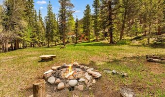 340 County Road 54, Almont, CO 81210