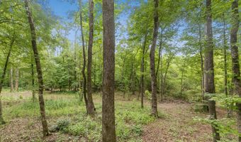 8165 County Road 97, Abbeville, AL 36310