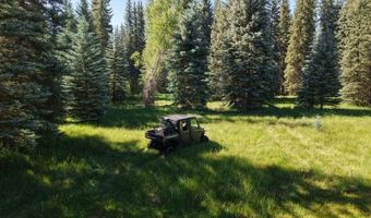 201 Golden Forest Rd, Bayfield, CO 81122