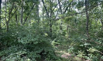 6609 County Road O-535, Ava, MO 65608