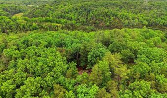 323 PALMER Rd, Basye, VA 22810