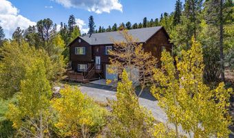 798 S Dory Lakes Dr, Black Hawk, CO 80422