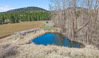 2068 ADDY-GIFFORD Rd, Addy, WA 99101