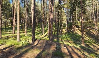 Nhn Profile Rock, Alberton, MT 59820
