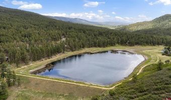 249 Timber Dr, Bayfield, CO 81122