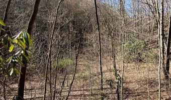 Lot 7 Valley View Heights Lane, Andrews, NC 28901