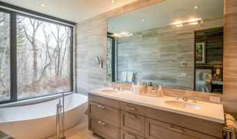1110 Black Birch Dr, Aspen, CO 81611