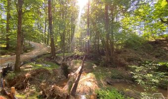 Tract 2 Hwy 51S, Homer, GA 30547