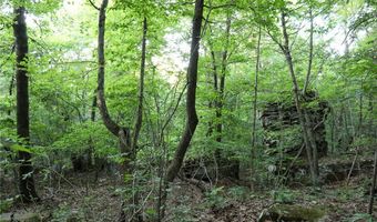 Whiskey Creek Lane, Batesville, AR 72501