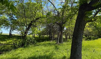 919 N 100 Rd, Baldwin City, KS 66006
