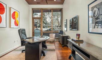 233 E Cooper Ave 301, Aspen, CO 81611