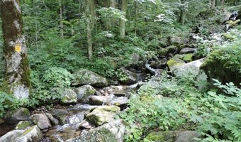 103 Chucks Ln, Bakersville, NC 28705