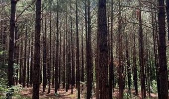 3199 DOZIER Rd, Appling, GA 30802