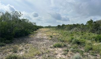 0000 County Road 173, San Diego, TX 78332
